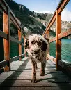 unsplash_wUipvJNqgzw_quilotoa.jpg.jpg.jpg.webp