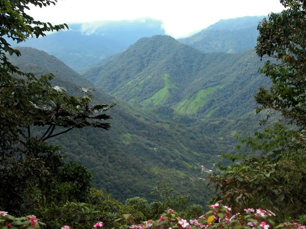 BellavistaNoroccidentePichincha.webp