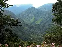 BellavistaNoroccidentePichincha.webp