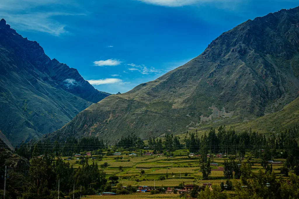 unsplash_mAj2qzQZ9-c_PULULAHUA.jpg.webp