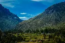 unsplash_mAj2qzQZ9-c_PULULAHUA.jpg.webp