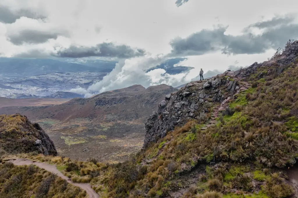 unsplash_qMOXAHjfd18_paramo ecuador.webp