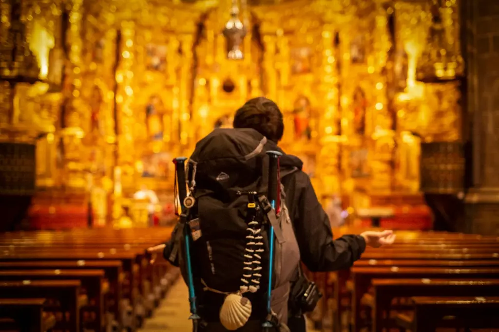 Ecuador Andes: Quito, Cotopaxi y Chocó Andino (Spanish, Budget Hotel)